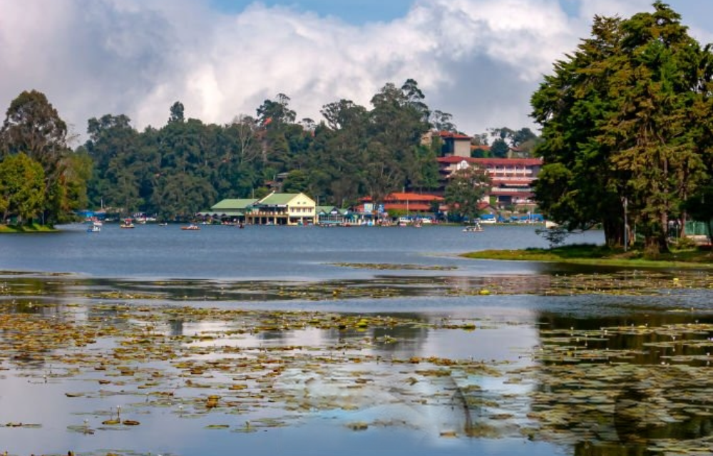 Vibe Inn Kodai