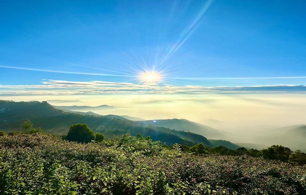Vibe Inn Kodai
